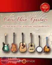 Best Service Chris Hein - Guitars