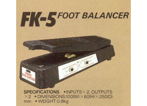 Korg FK-5 foot balancer