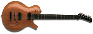 Parker Guitars PM-10