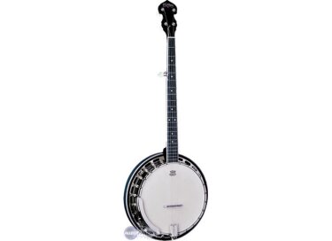 Washburn B8
