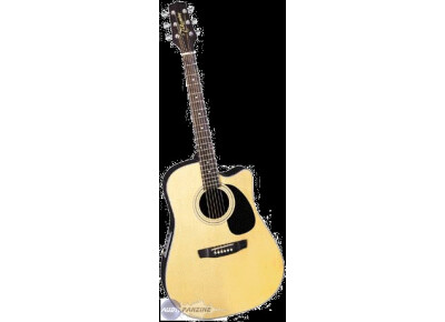 Takamine EG530SC