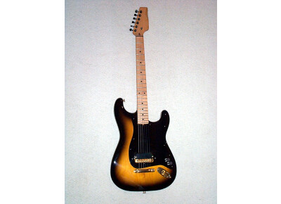 Hoag Guitars Trad 60