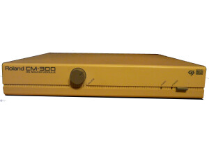 Roland CM-300