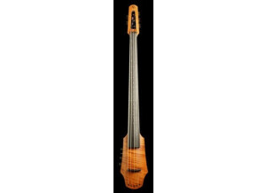 Ns Design CR cello