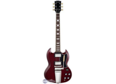 Edwards E-SG-110LT2/VT