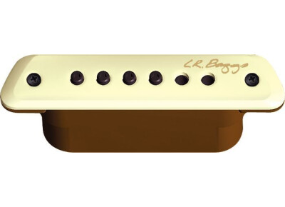 L.R. Baggs M1