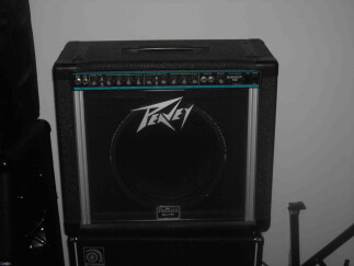 Peavey Bandit 112 (Sheffield Speaker)