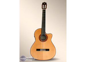 Alhambra Guitars 10Fc CW E2