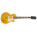 Voir la photo de la Epiphone Les Paul Standard Plus Top Epiphone Les Paul Standard Plus Top