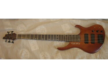 DNG Custom 5 Strings