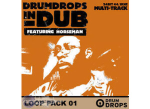 Loopmasters Drumdrops in Dub Volume 2