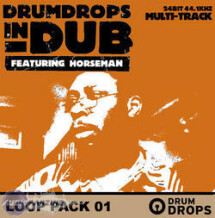 Loopmasters Drumdrops in Dub Volume 2