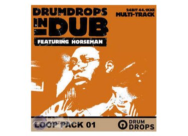 Loopmasters Drumdrops in Dub Volume 2