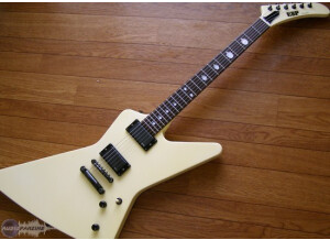 ESP Custom Shop James Hetfield Eat Fuck