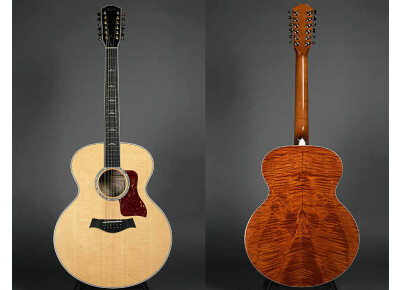 Taylor 655ce