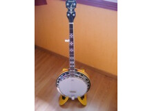 Tennessee Guitars Banjo 5