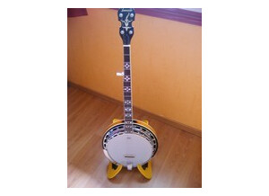 Tennessee Guitars Banjo 5