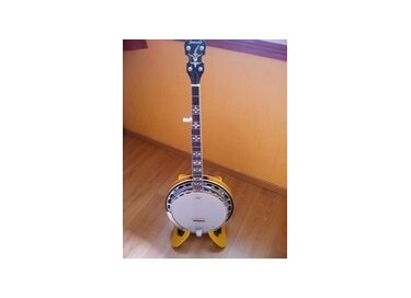Tennessee Guitars Banjo 5
