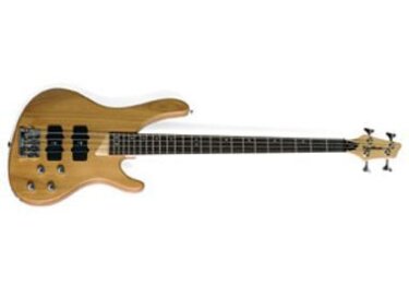 Washburn XB400 Fretless