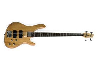 Washburn XB400 Fretless
