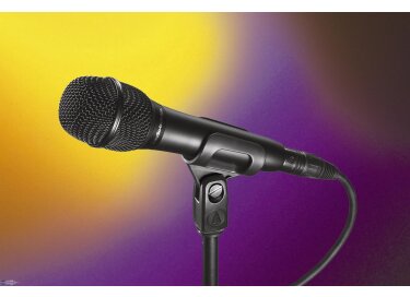 Audio-Technica AT2010