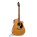 Voir la photo du Seagull Performer CW Cedar GT QI Seagull Performer CW Cedar GT QI