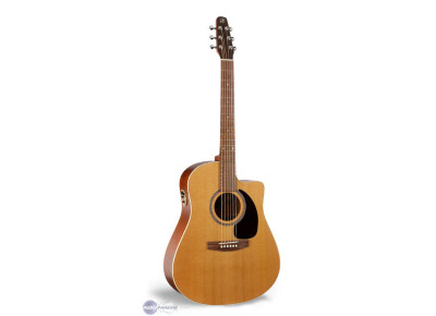 Seagull Performer CW Cedar GT QI