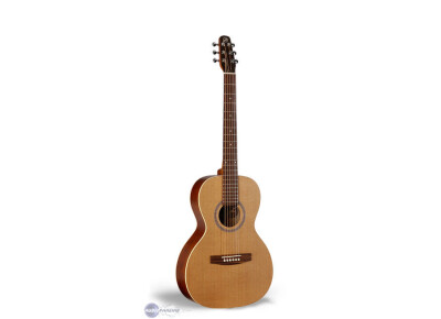 Seagull Coastline Grand