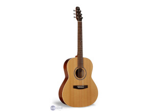 Seagull Coastline S6 Folk Cedar