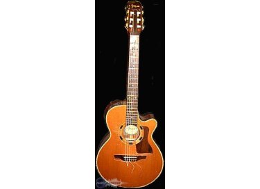 Takamine EN60C
