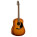 Voir la photo de la Seagull Entourage Autumn Burst Seagull Entourage Autumn Burst
