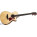 Taylor  412ce