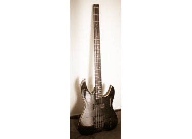 Steinberger XM2A