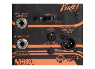 Peavey MSDI