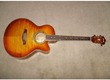 Ibanez AE20