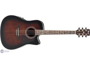 Ibanez AW40ECE
