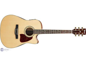 Ibanez AW140QMECE