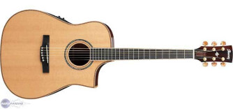 Ibanez AWS1000ECE