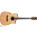 Voir la photo du Ibanez AWS1000ECE Ibanez AWS1000ECE