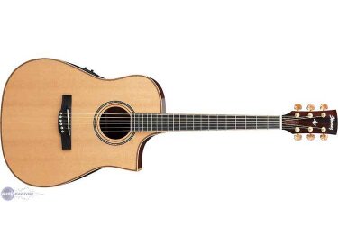 Ibanez AWS1000ECE