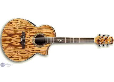 Ibanez EW20ZWE