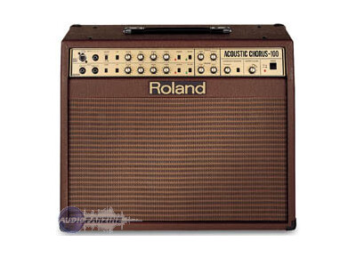 Roland AC-100