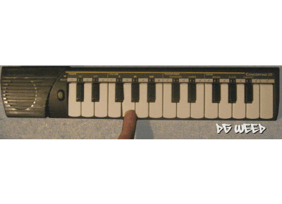 Bontempi Concertino 25
