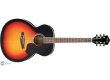 Ibanez SGT130E