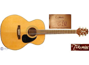 Takamine G230