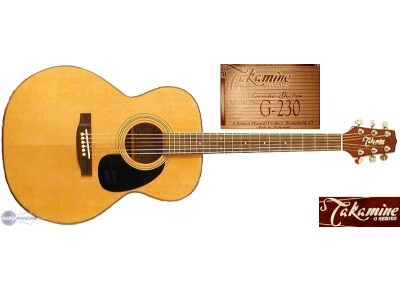 Takamine G230