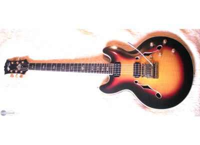 Hervé Prudent Lutherie Gypse