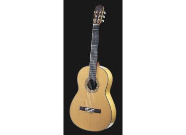 Takamine FGD136S
