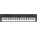 Roland FP-4
