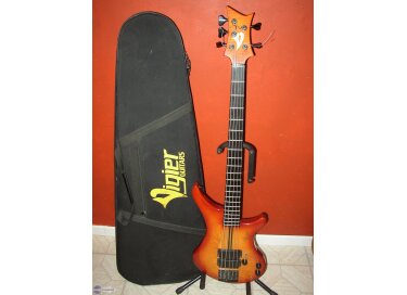 Vigier Passion 5 Strings